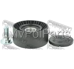 Ролик Натяжного Механізму Porsche Panamera 09-, Cayenne 02- Виробник NTY RNK-PS-001F номер OE 94810240323