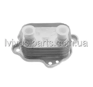 Масляний Радіатор Mini Cooper S 1,6 2002- Виробник NTY CCL-BM-006 номер OE 11427509212 Масляний Радіатор Mini Cooper S 1,6 2002- Виробник NTY CCL-BM-006 номер OE 11427509212