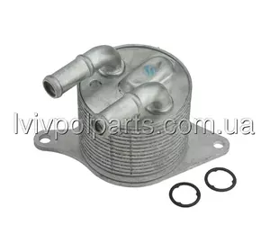 Масляний Радіатор Eng 2,0 2,0D Bmw X1 F48 16-19 , X2 F39 16-19 , 1 F40 18-19 , 2 F44 F45 17-19 , Mini F55 F56 16-19 , Clubman F54 17-19 , Countryman F60 17-19 Виробник NTY CCL-BM-067 номер OE 24148699 Масляний Радіатор Eng 2,0 2,0D Bmw X1 F48 16-19 , X2 F39 16-19 , 1 F40 18-19 , 2 F44 F45 17-19 , Mini F55 F56 16-19 , Clubman F54 17-19 , Countryman F60 17-19 Виробник NTY CCL-BM-067 номер OE 24148699