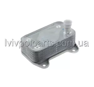 Масляний Радіатор Mercedes Klasa E W211 E280Cdi E320Cdi 2002-,Klasa G W461 G270Cdi 2003- Виробник NTY CCL-ME-006 номер OE A6131880201 Масляний Радіатор Mercedes Klasa E W211 E280Cdi E320Cdi 2002-,Klasa G W461 G270Cdi 2003- Виробник NTY CCL-ME-006 номер OE A6131880201