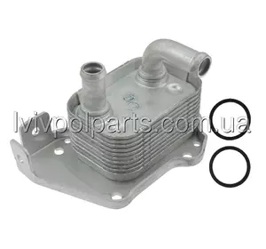 Масляний Радіатор Opel Astra H 1,7Cdti 04-10 Виробник NTY CCL-PL-023 номер OE 5650790 Масляний Радіатор Opel Astra H 1,7Cdti 04-10 Виробник NTY CCL-PL-023 номер OE 5650790