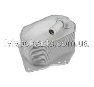 Масляний Радіатор Ford Ranger 2,2Tdci 3,2Tdci 2011- Виробник NTY CCL-FR-023 номер OE BB3Q6B624EA Масляний Радіатор Ford Ranger 2,2Tdci 3,2Tdci 2011- Виробник NTY CCL-FR-023 номер OE BB3Q6B624EA